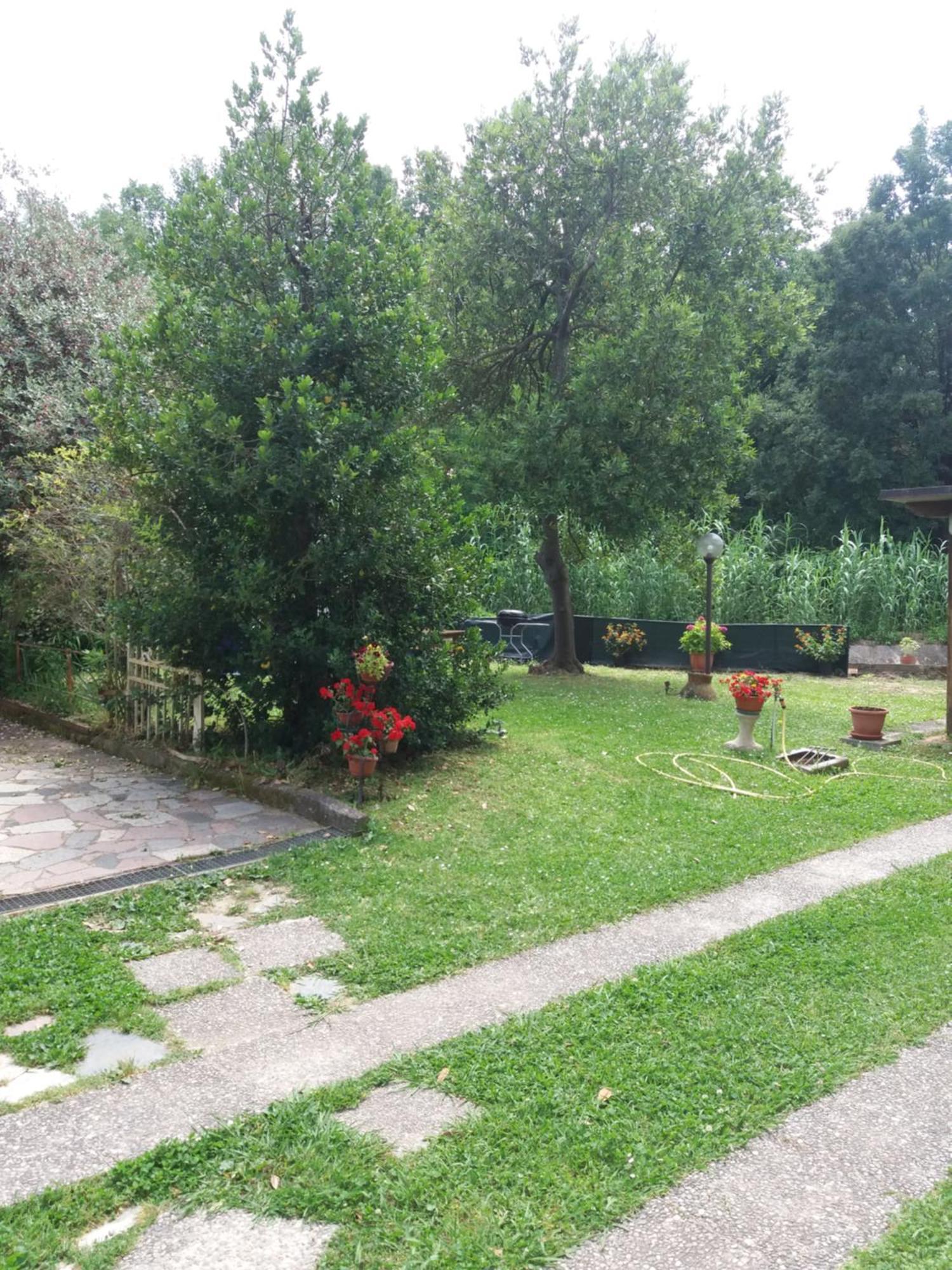 Appartement La Casa Del Tiglio à Sarzana Extérieur photo
